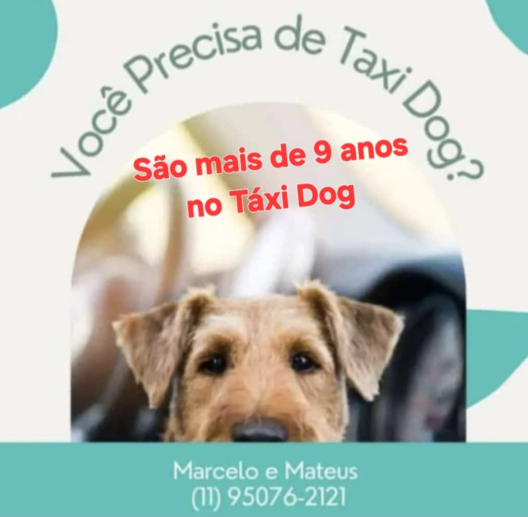 WhatsApp Image 2025-09-29 at 16.30.53 (1)