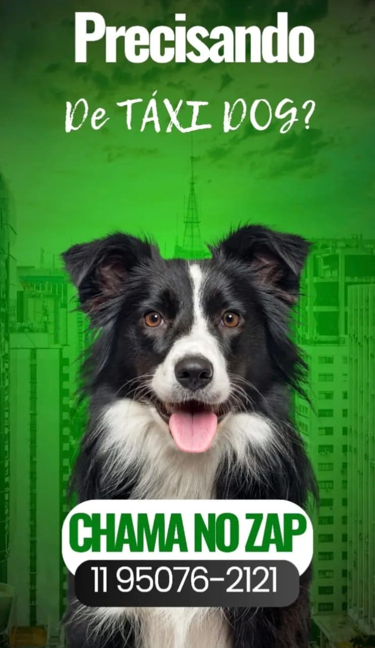 WhatsApp Image 2025-09-29 at 16.30.54 (1)