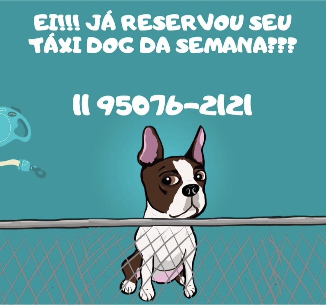 WhatsApp Image 2025-09-29 at 16.30.54 (2)