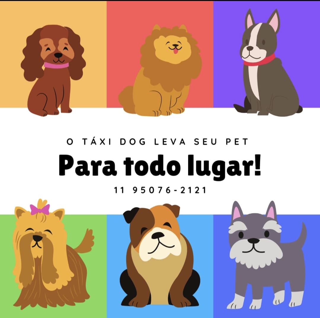 WhatsApp Image 2025-09-29 at 16.30.54