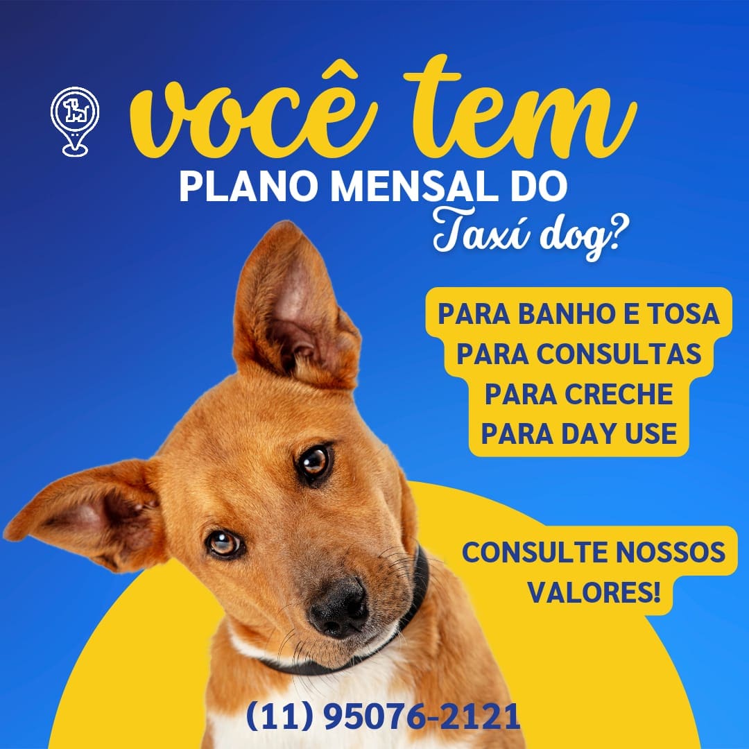 WhatsApp Image 2025-09-29 at 16.36.48