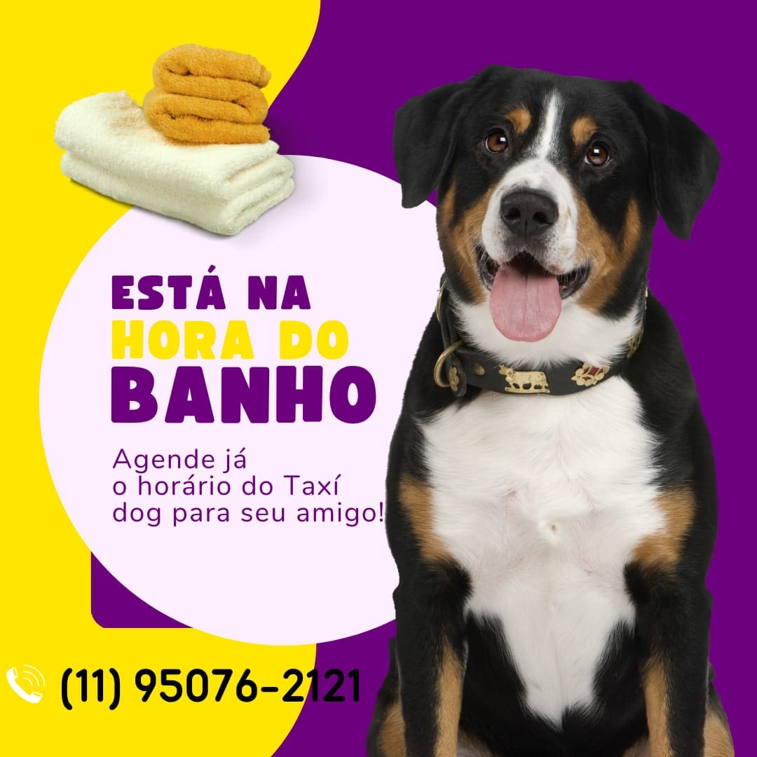 WhatsApp Image 2025-09-29 at 16.36.49