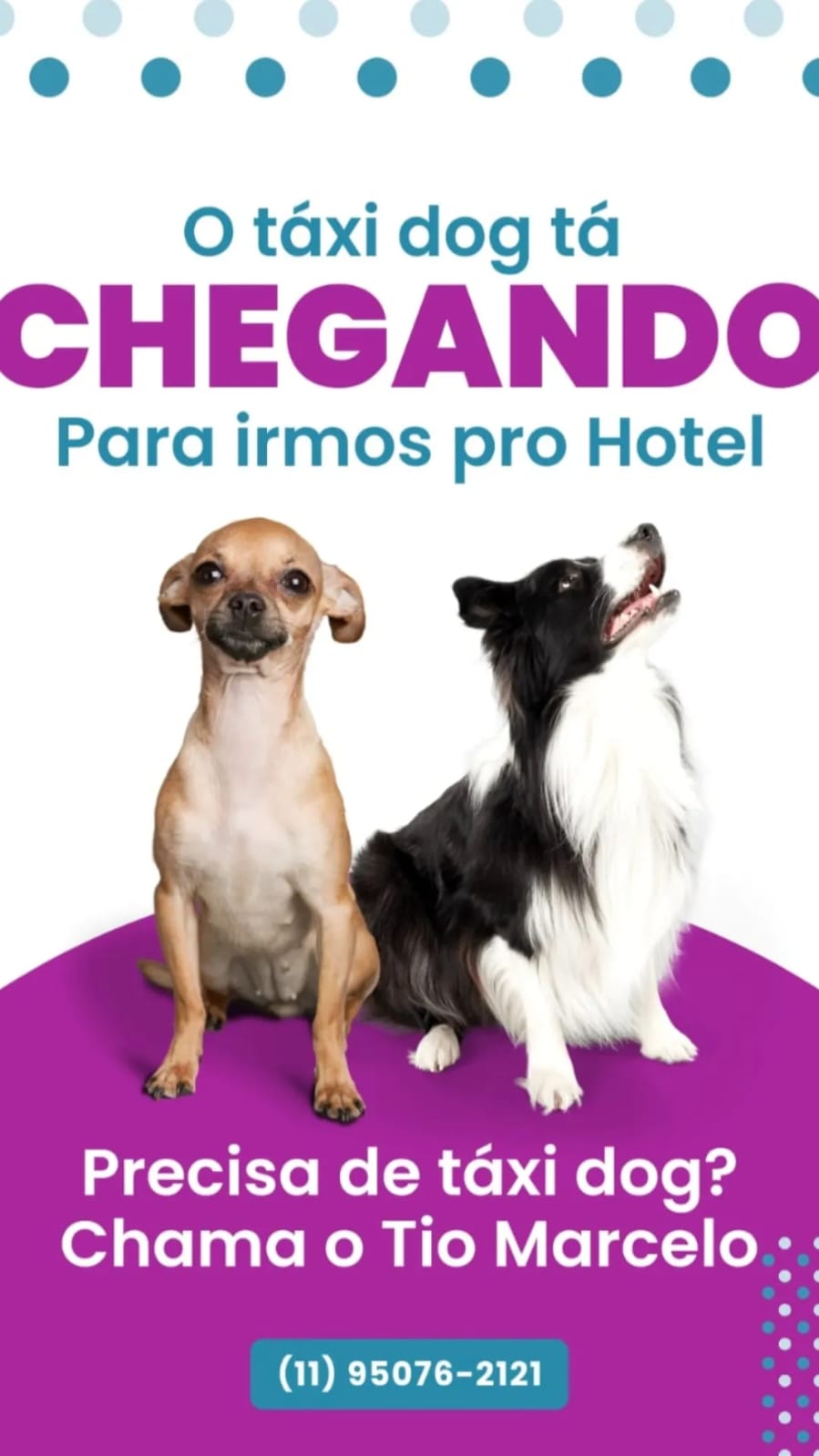 WhatsApp Image 2025-09-29 at 16.36.50