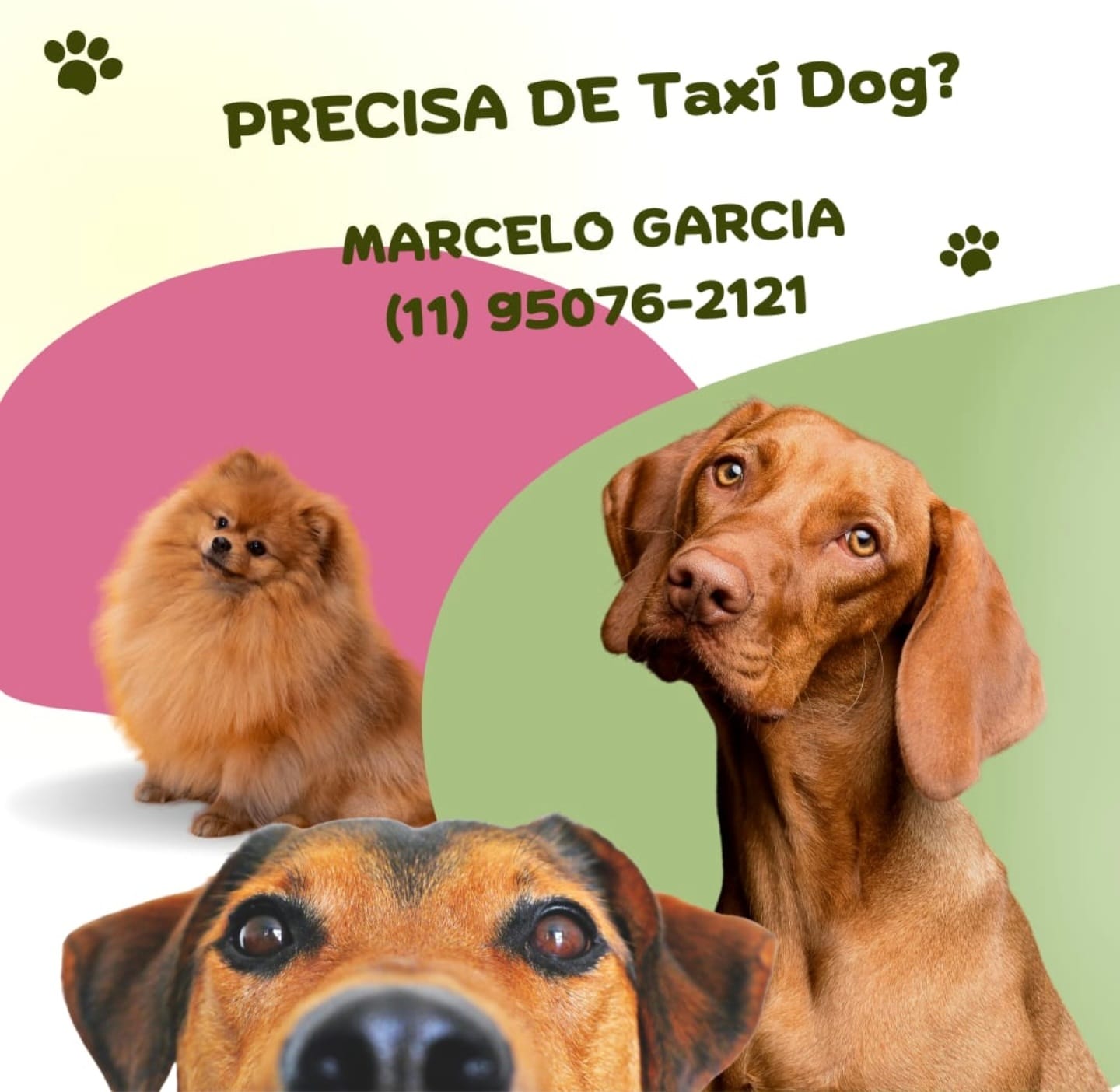 WhatsApp Image 2025-09-29 at 16.36.51 (2)