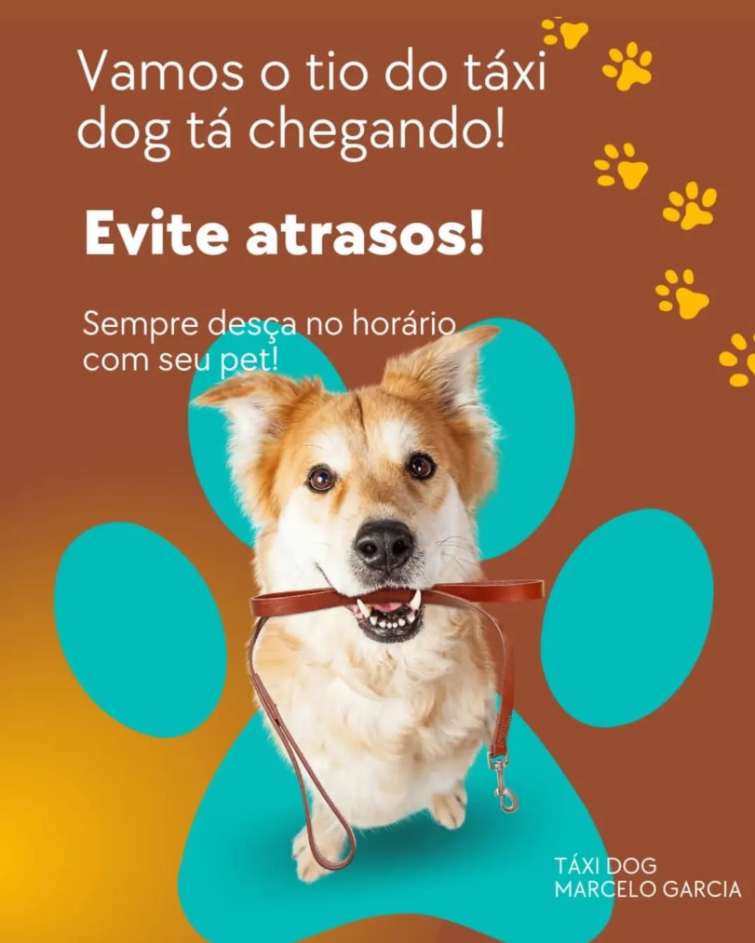 WhatsApp Image 2025-09-29 at 16.36.51