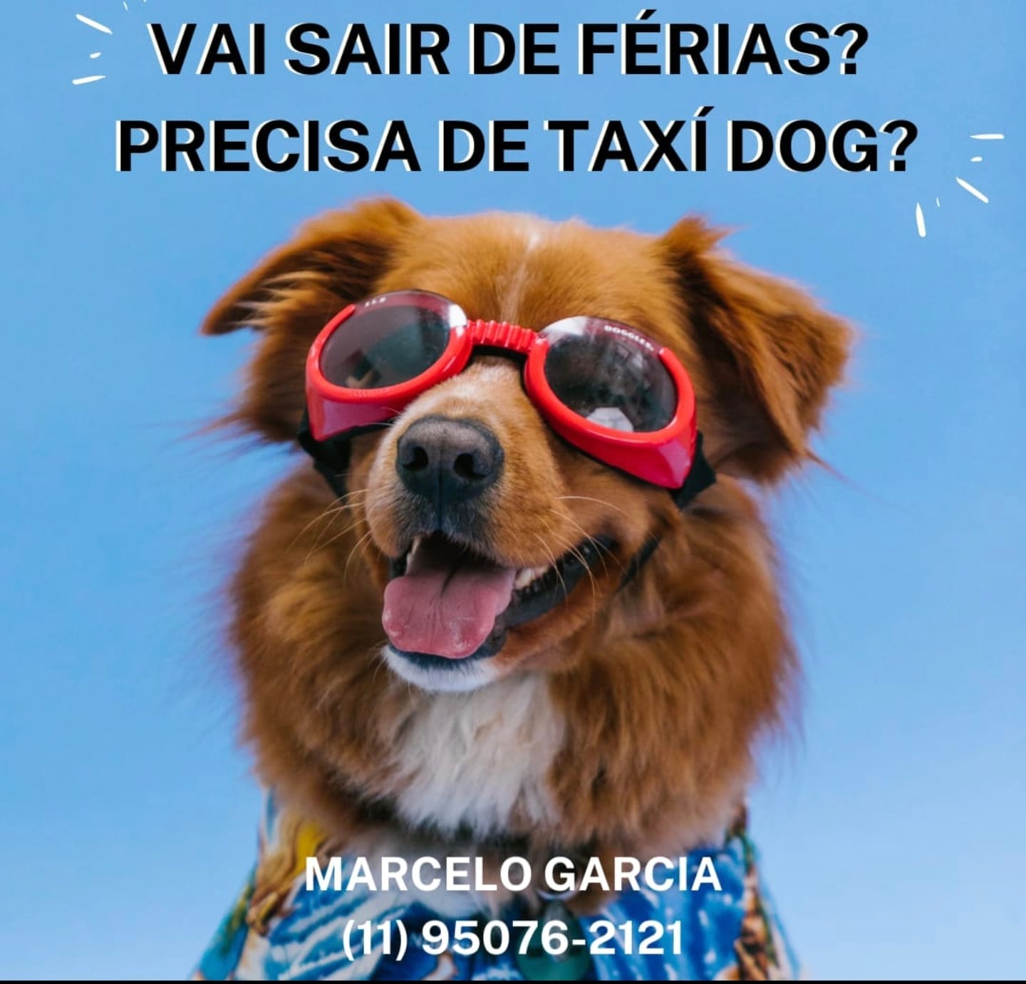 WhatsApp Image 2025-09-29 at 16.36.52 (1)