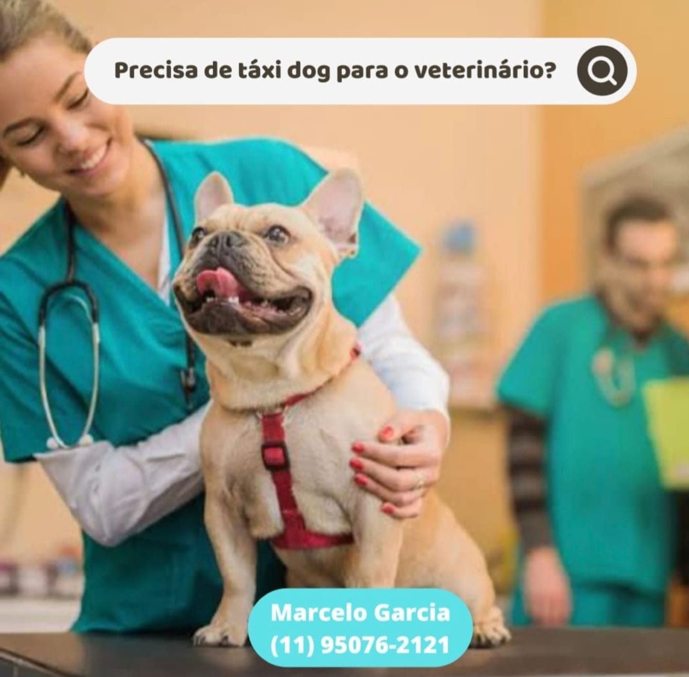 WhatsApp Image 2025-09-29 at 16.36.52 (2)