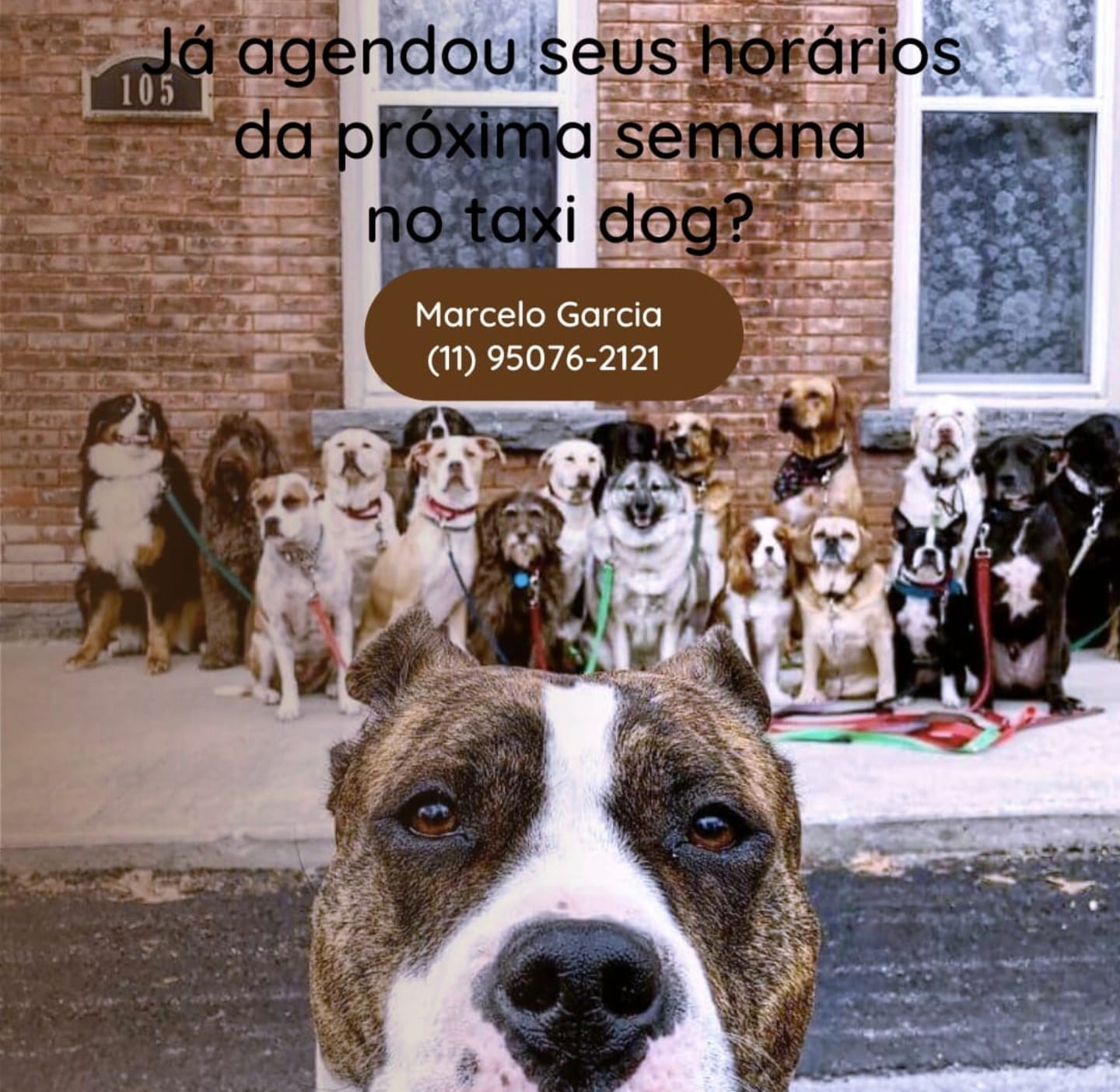 WhatsApp Image 2025-09-29 at 16.36.54 (1)