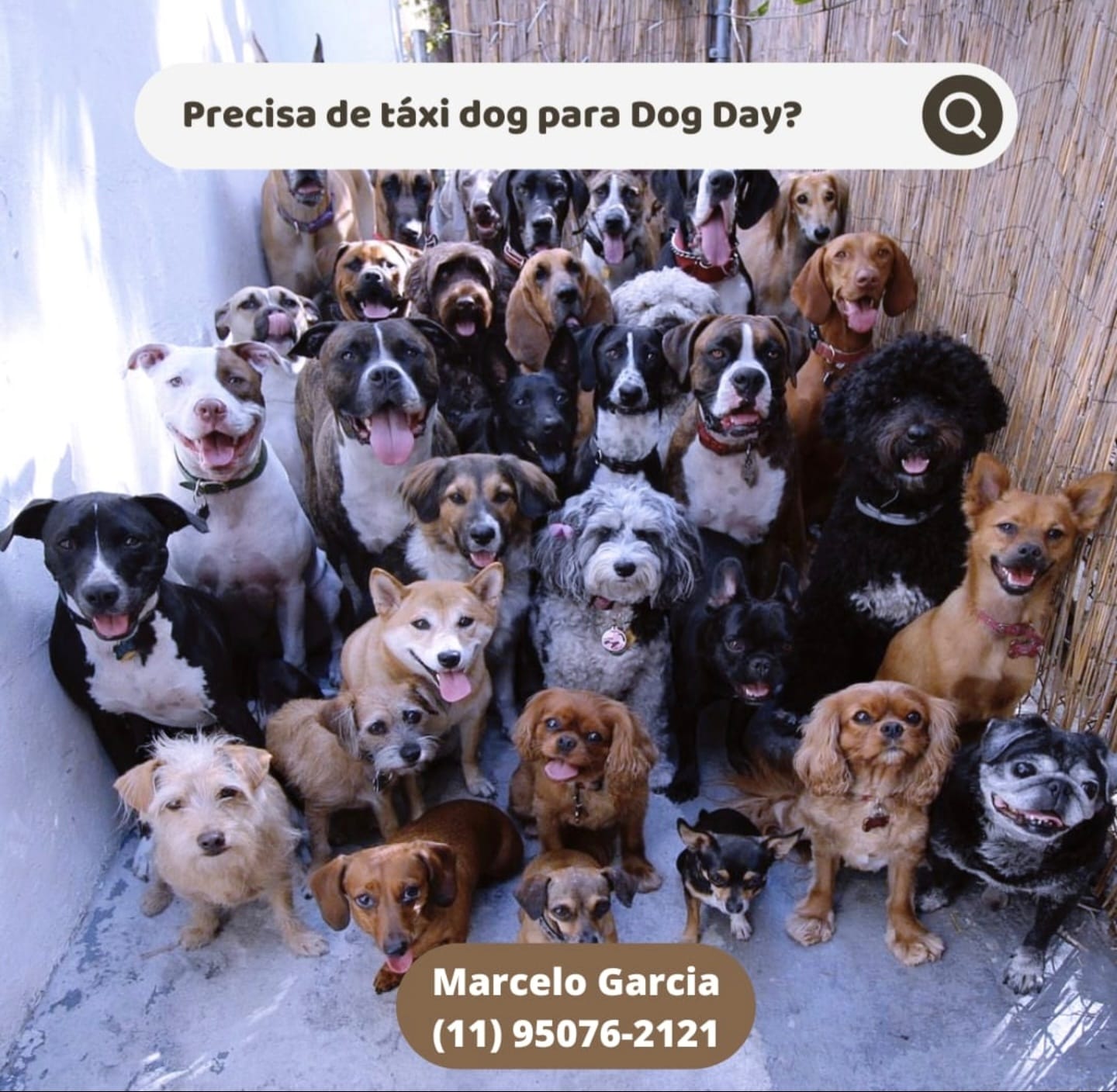 WhatsApp Image 2025-09-29 at 16.36.54 (2)