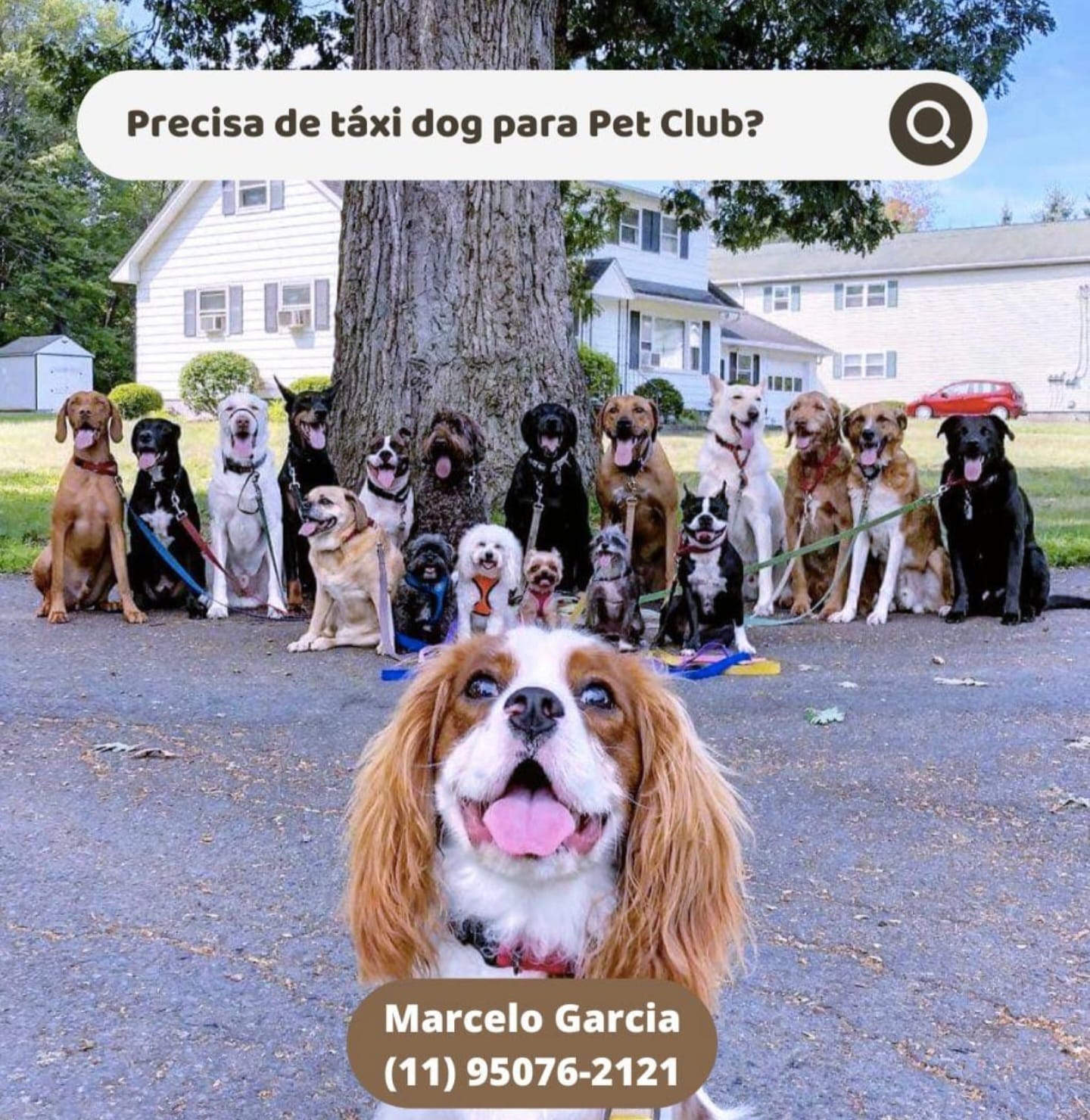 WhatsApp Image 2025-09-29 at 16.36.54