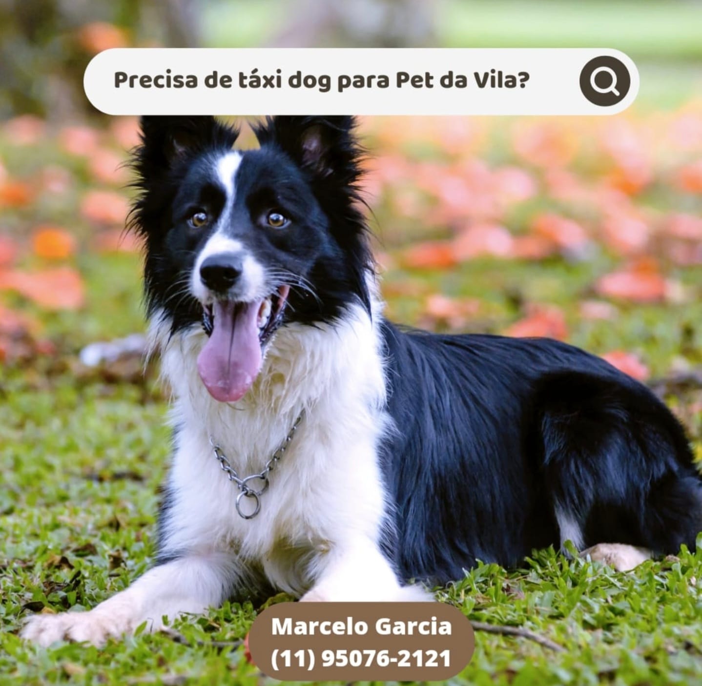 WhatsApp Image 2025-09-29 at 16.36.55 (1)