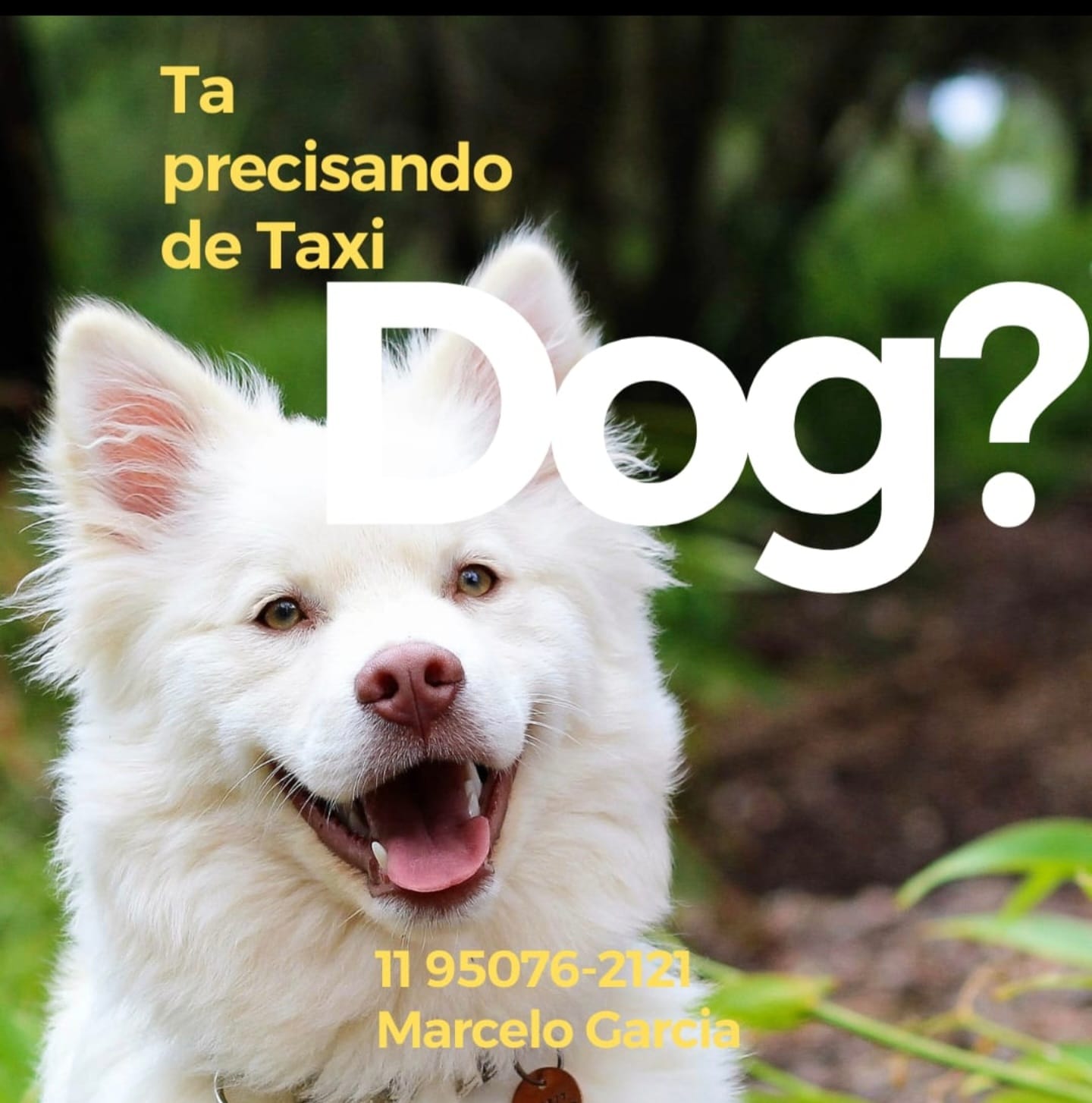 WhatsApp Image 2025-09-29 at 16.36.56 (1)