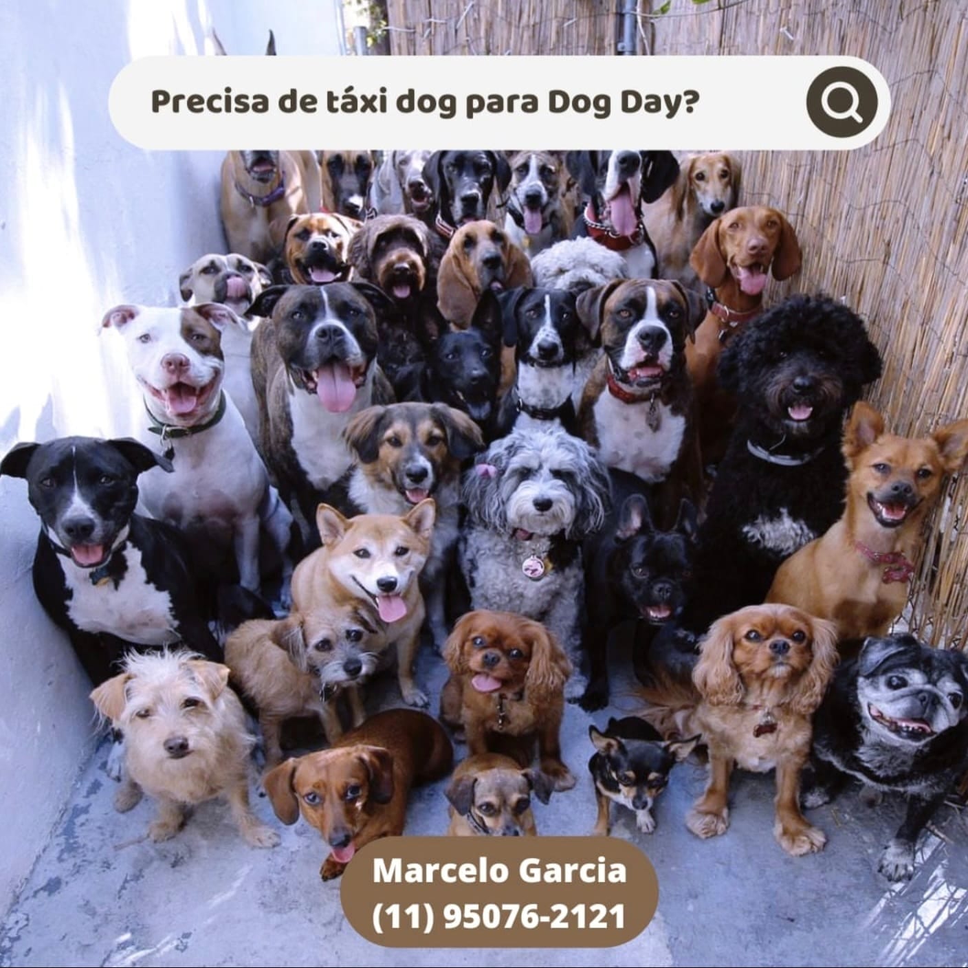 WhatsApp Image 2025-09-29 at 16.36.56