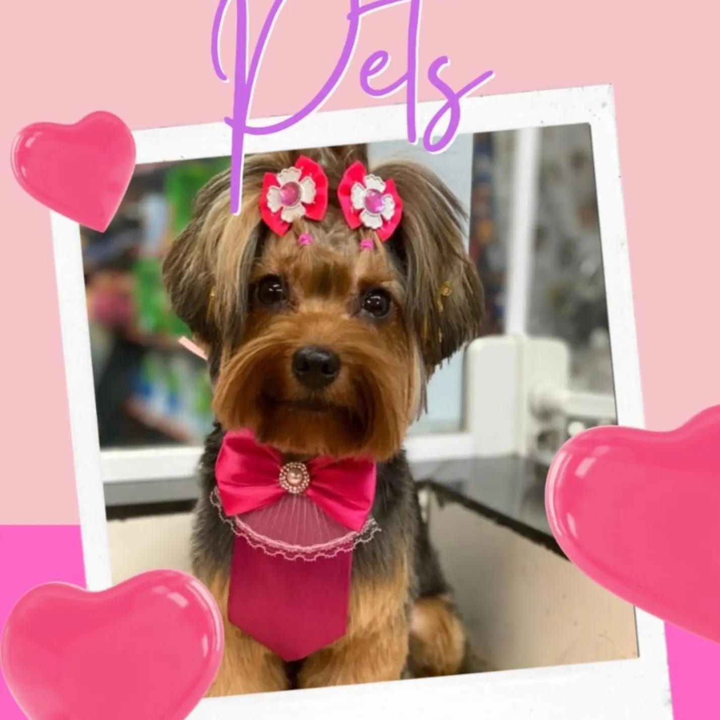 WhatsApp Image 2025-09-29 at 16.36.57