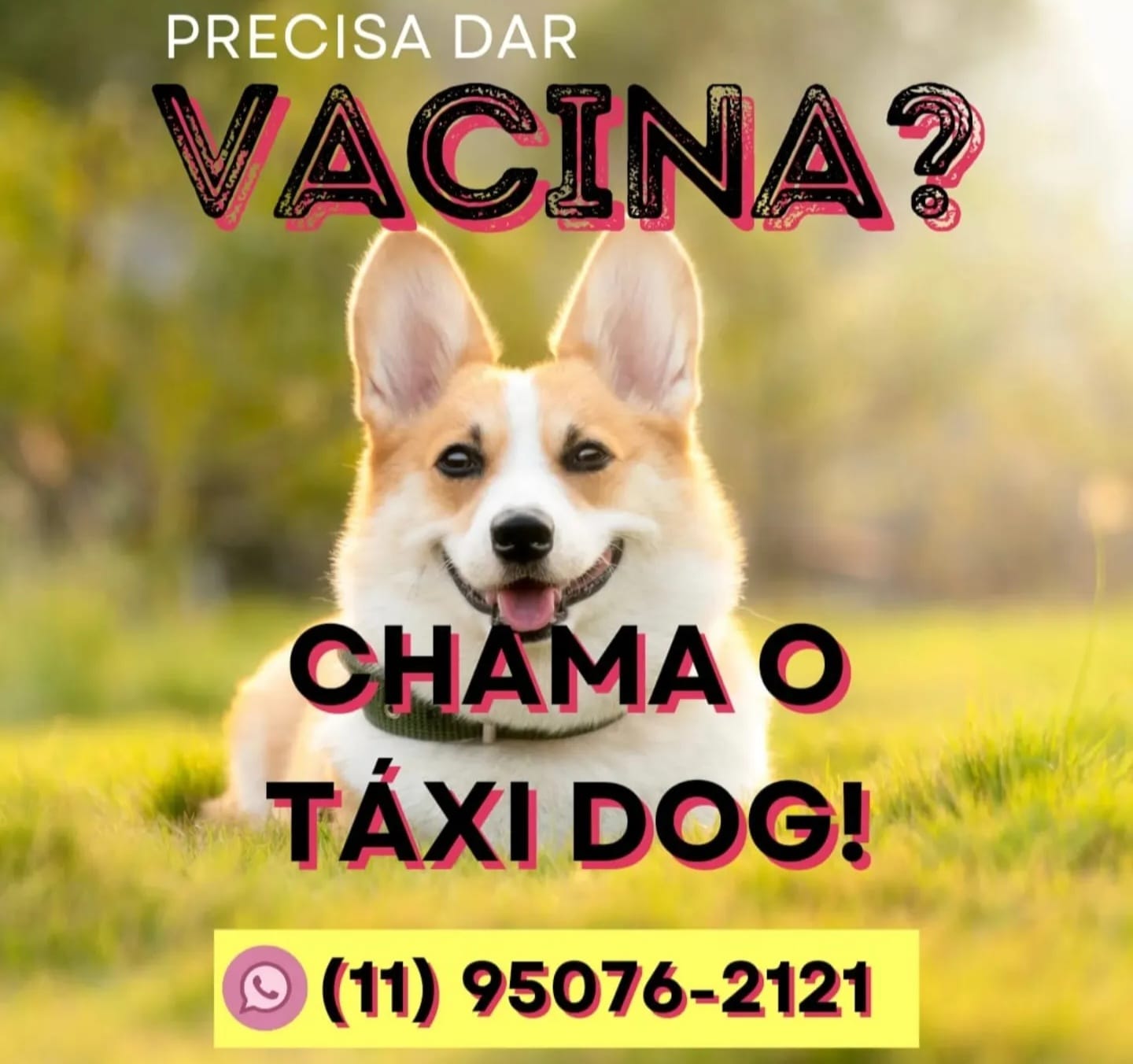 WhatsApp Image 2025-09-29 at 16.36.58 (1)