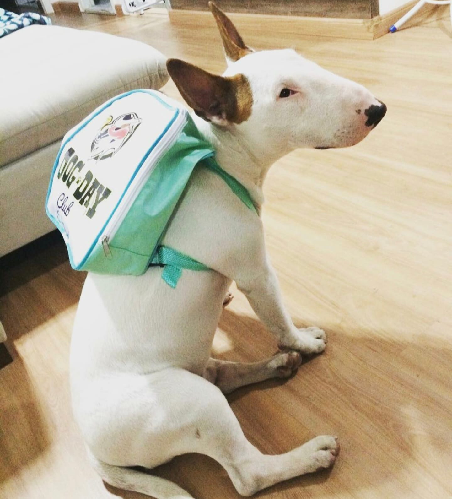 WhatsApp Image 2025-09-29 at 16.36.58 (2)