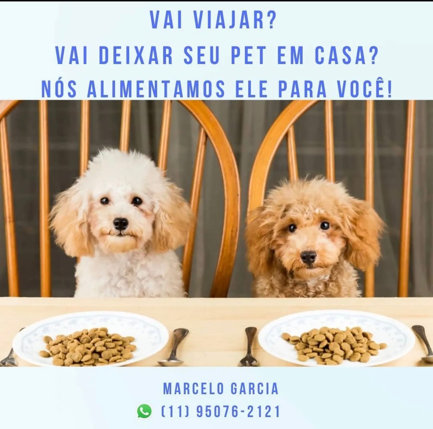 WhatsApp Image 2025-09-29 at 16.36.58