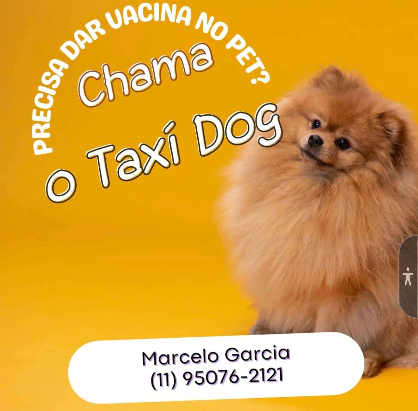 WhatsApp Image 2025-09-29 at 16.36.59 (1)