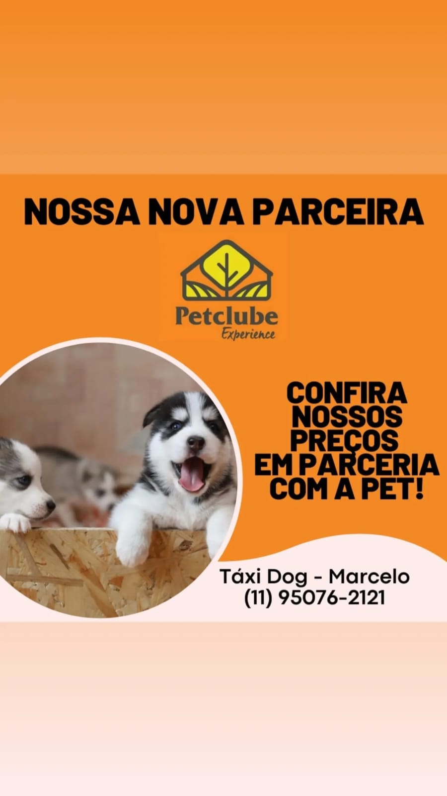 WhatsApp Image 2025-09-29 at 16.36.59 (2)