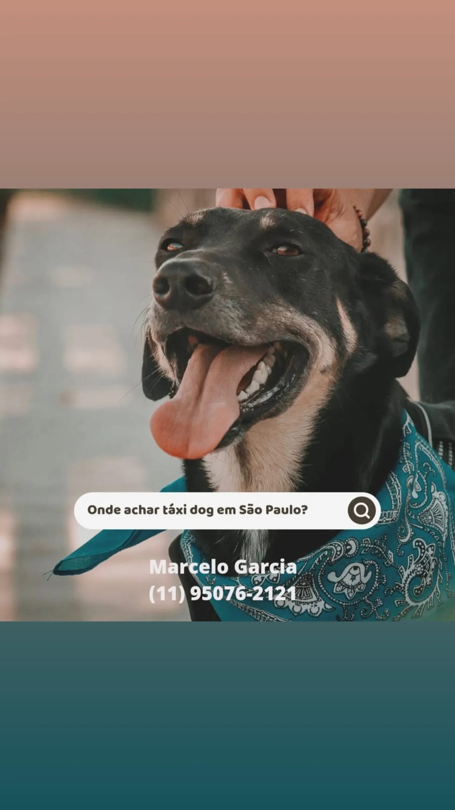 WhatsApp Image 2025-09-29 at 16.36.59 (3)