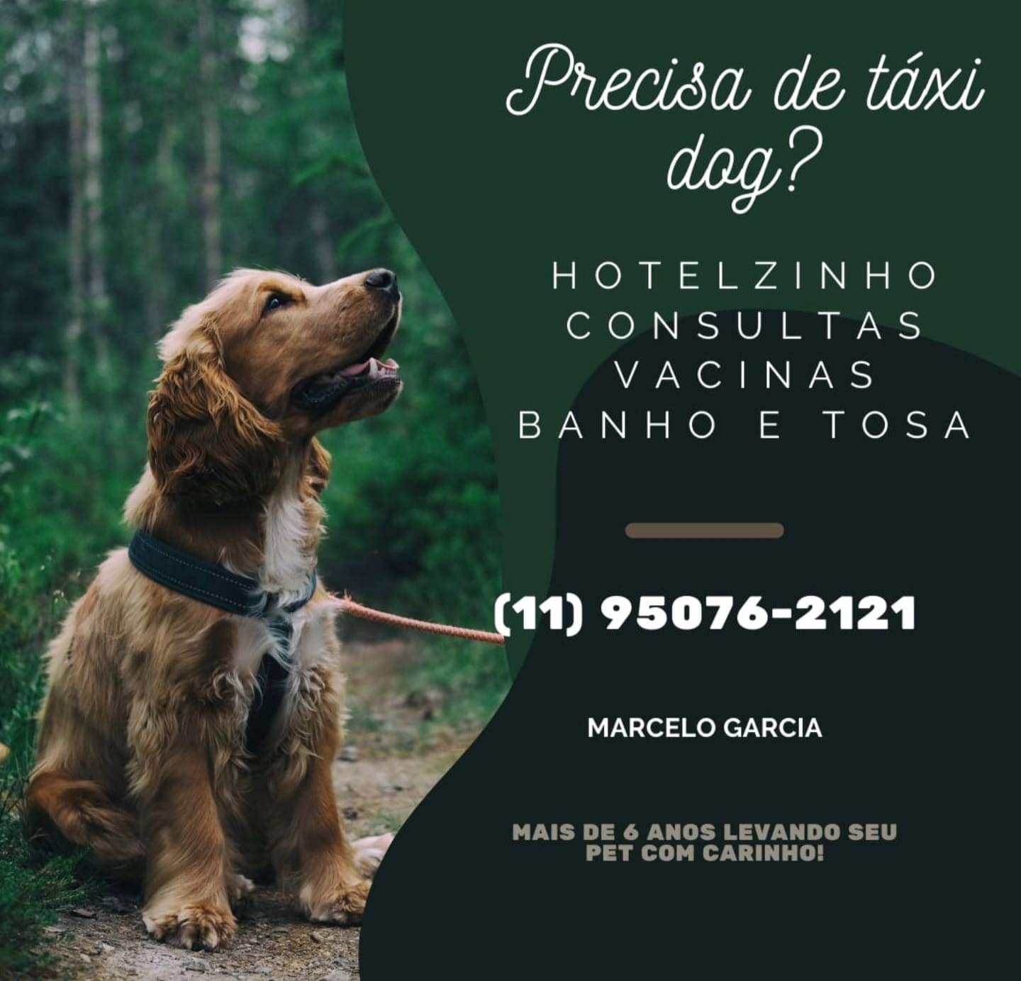 WhatsApp Image 2025-09-29 at 16.37.00 (1)