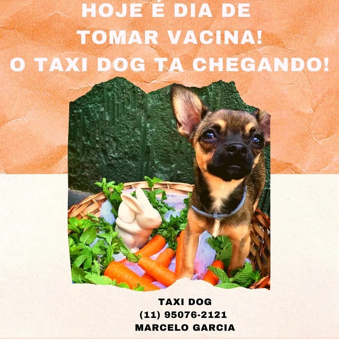 WhatsApp Image 2025-09-29 at 16.37.00 (2)