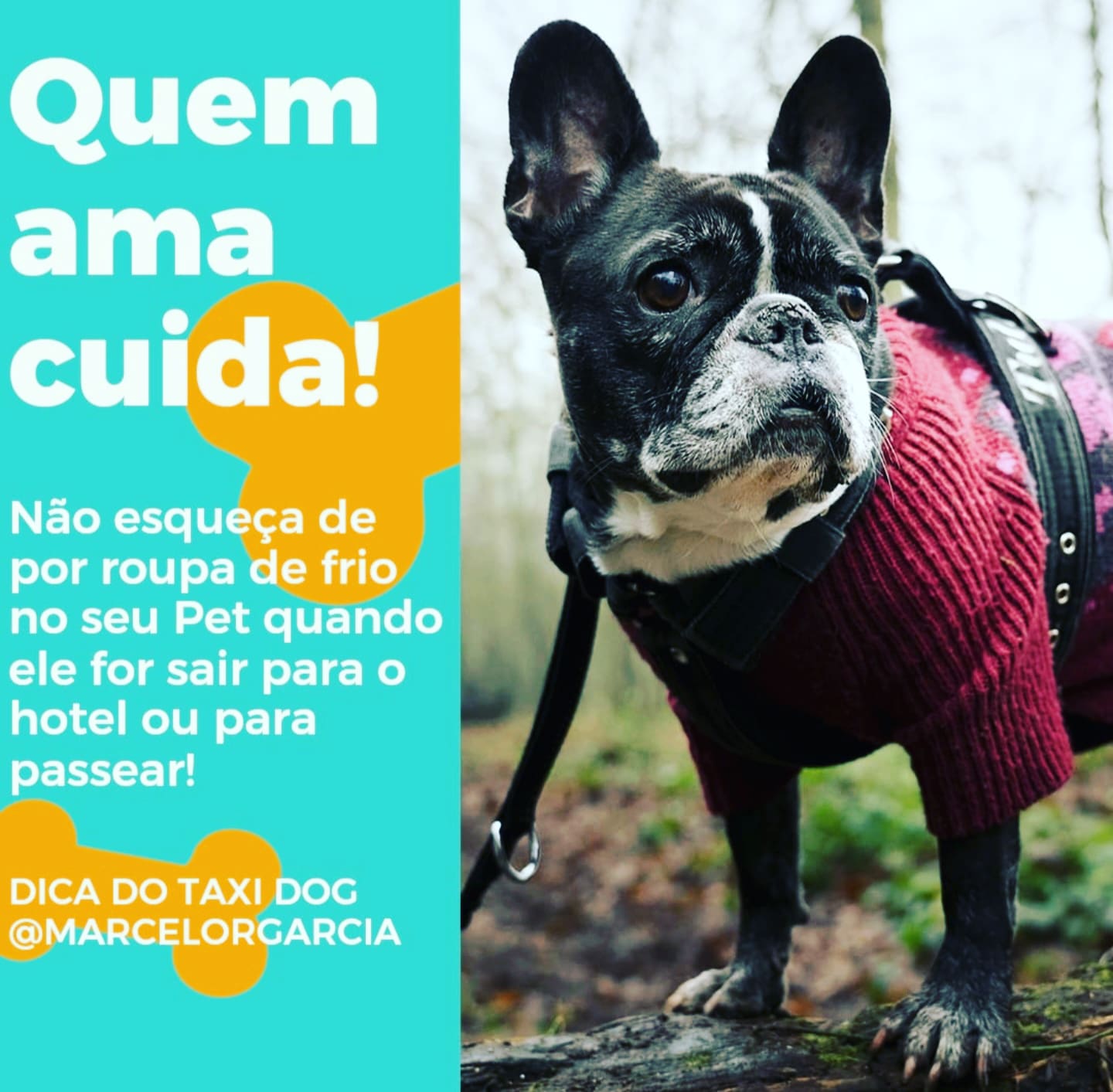 WhatsApp Image 2025-09-29 at 16.37.00